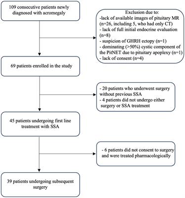 Quantitative and qualitative assessment of a pituitary neuroendocrine tumor’s T2-signal intensity in acromegaly – a call for unification